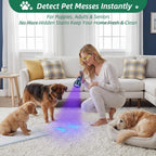 Heavy duty aluminum ultraviolet flashlight scanning hardwood floor for dog stains.