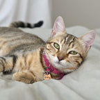Anavia scratch resistant premium stainless steel cat name plate for outdoor safety