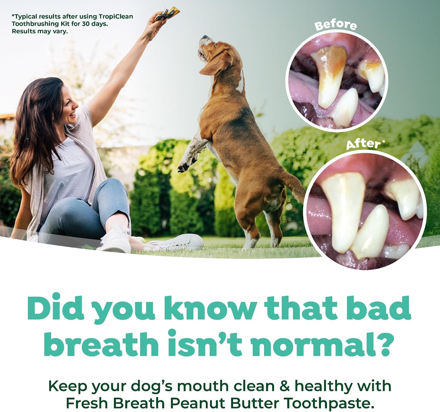 USA imported TropiClean fresh breath oral care kit for Indian pet owners