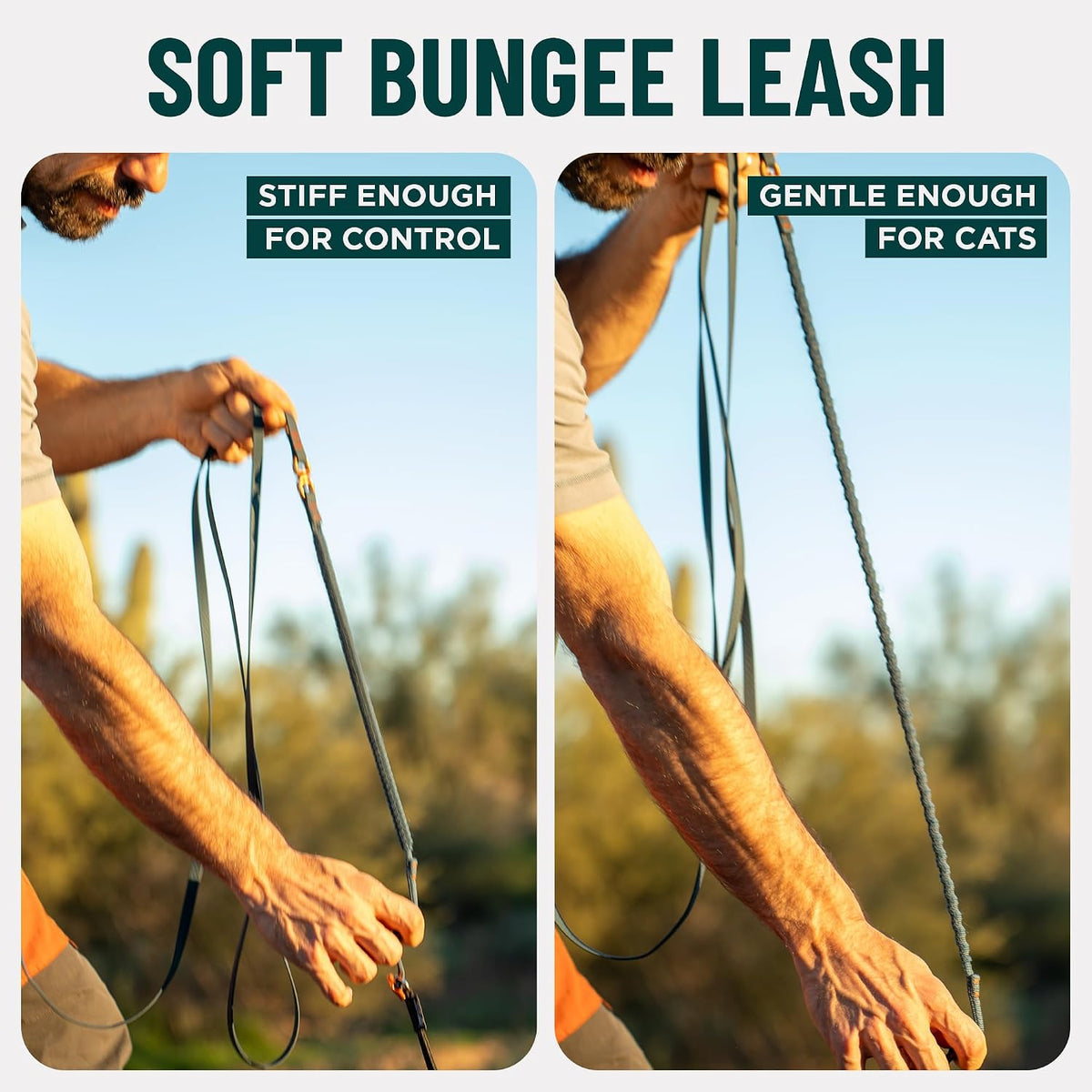 Close up of shock absorbing bungee mechanism on leash