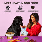 Nutrient dense salmon and whitefish dog food kibble texture close up view