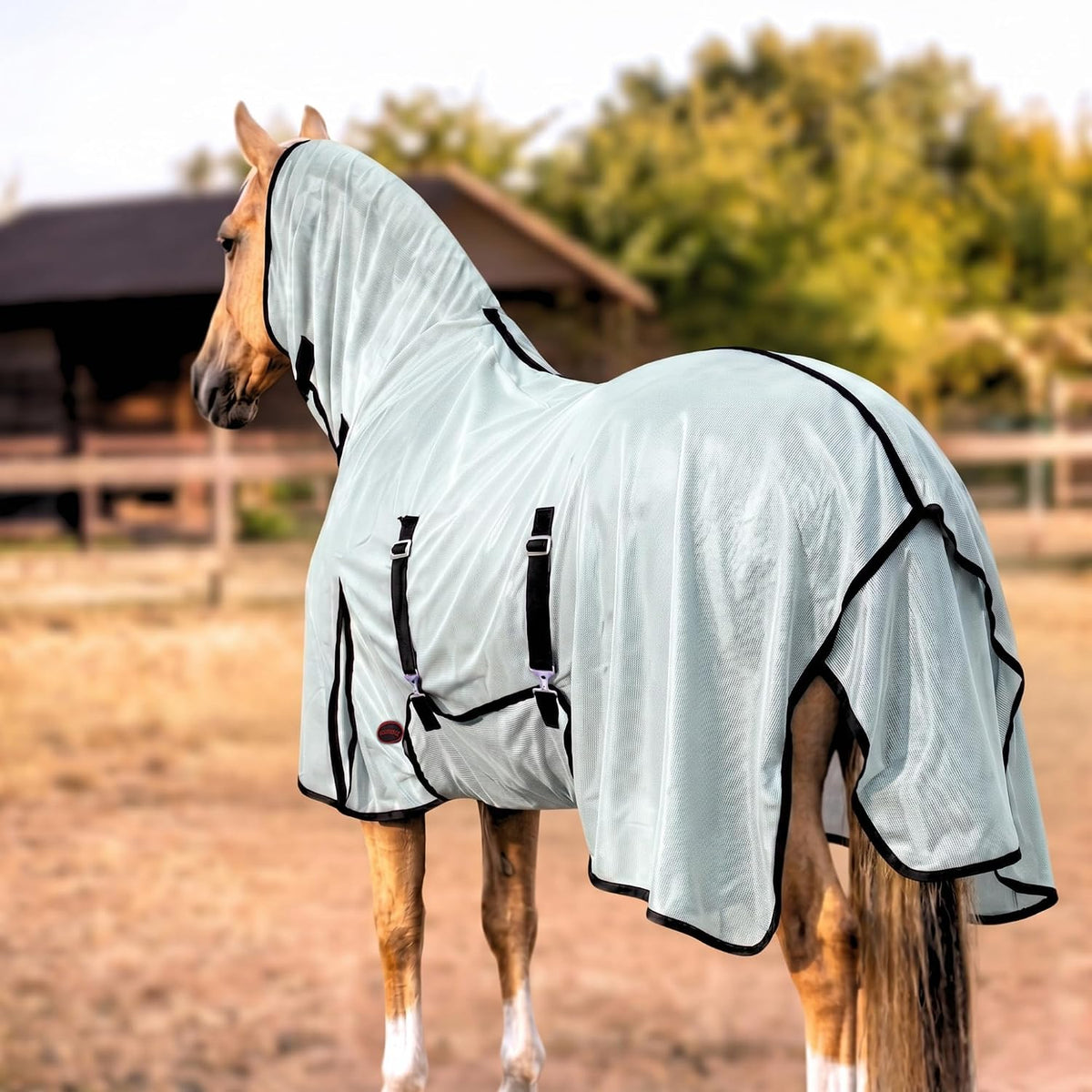 Side view of silver and turquoise equine fly blanket on a horse