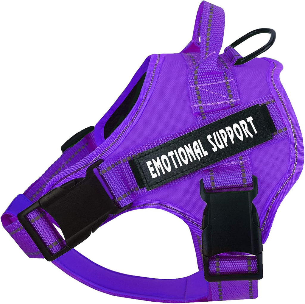Voopet protective small dog vest showing quick release locking buckles