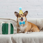 Satinior 4-piece pet birthday set package contents