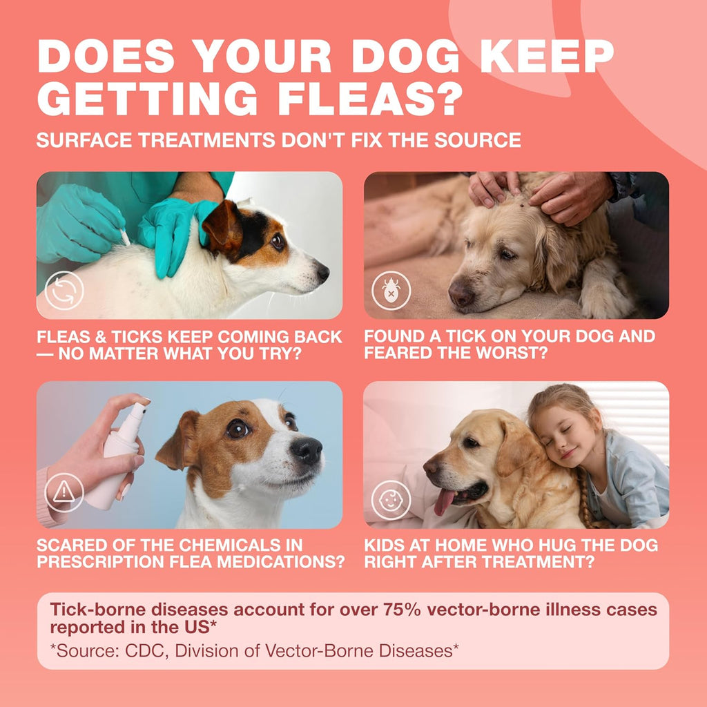 Chewia natural dog flea and tick control soft treats close up