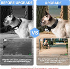 Pet camera collar with 32 gigabyte SD card and accessories kit