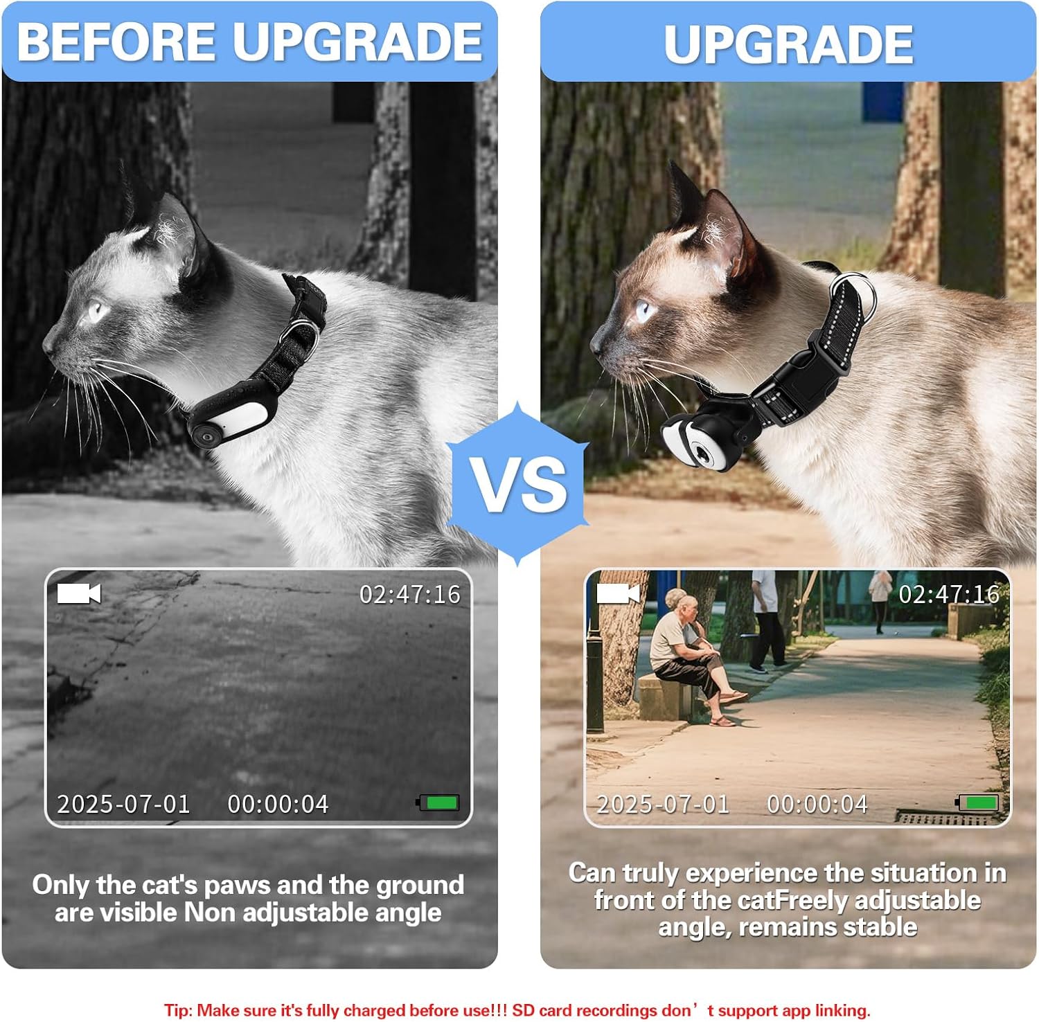 Pet camera collar with 32 gigabyte SD card and accessories kit