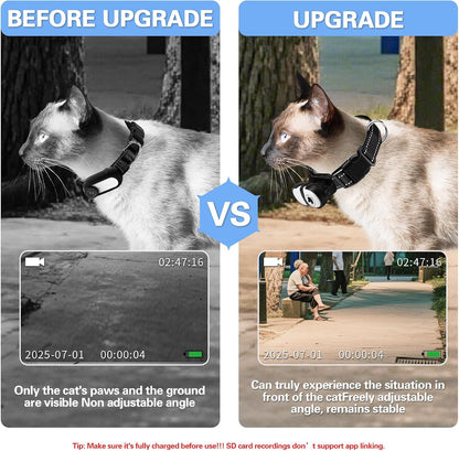 Pet camera collar with 32 gigabyte SD card and accessories kit