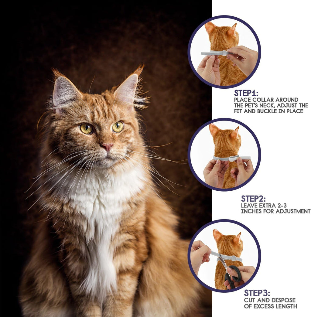Close up of Parenda natural ingredient cat flea and tick collar