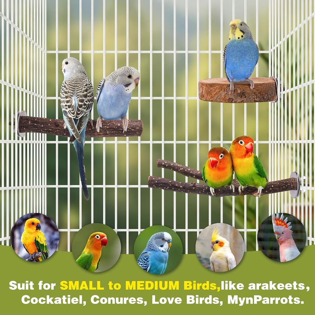 8PCS Bird Perches Set Natural Apple Wood Bird Cage Accessories Wooden Parrot Stand Hardwood Branches for Parakeets, Budgies, Cockatiels Small Bird Habitat Gym, Climbing Stand & Safe Chew Toys - Image 5