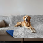 Muddy Mat dog blanket front view on a grey couch for water absorption