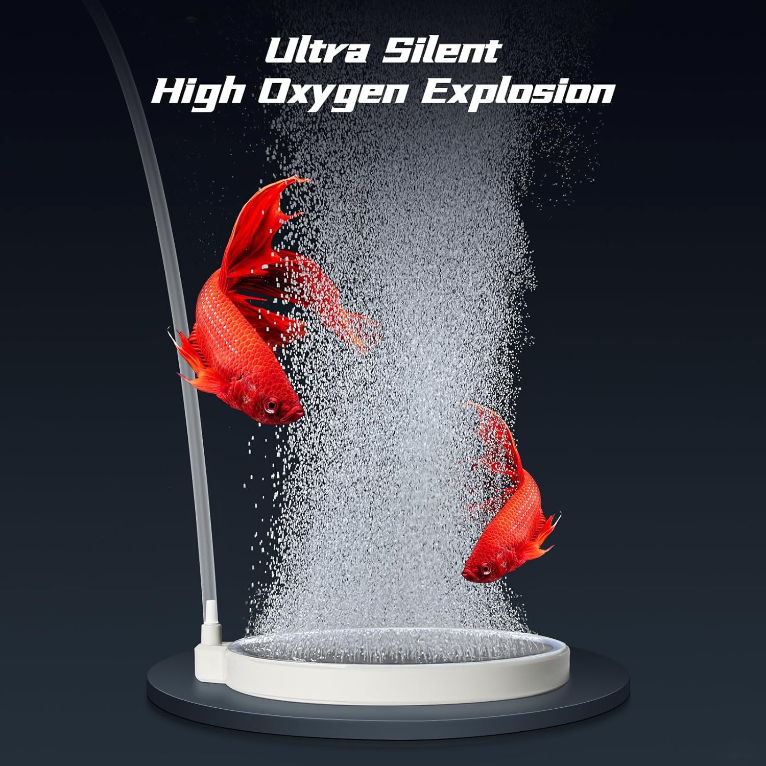 UPETTOOLS two inch aquarium oxygen diffuser producing micro bubbles inside a fish tank