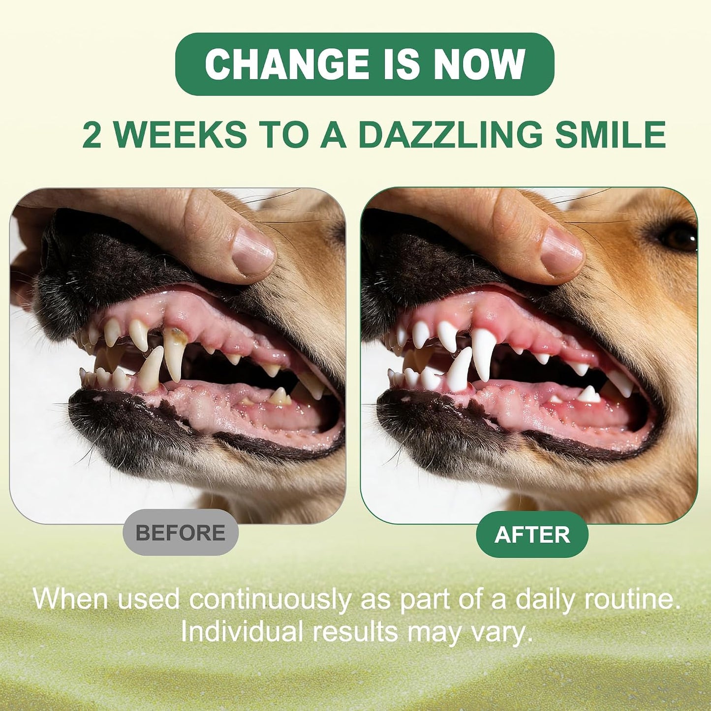 Pet plaque and tartar remover powder mixed in dog food bowl