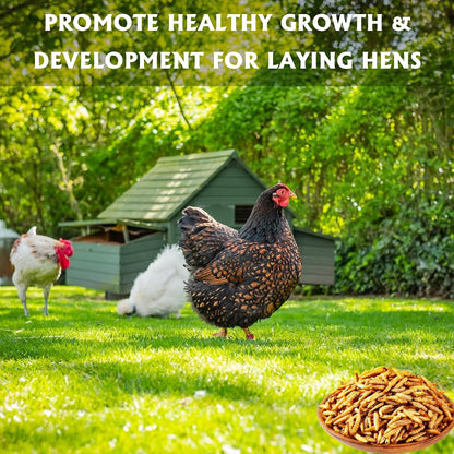 Adaman dried BSF larvae 10 pounds packaging rich in calcium supplement for laying hens