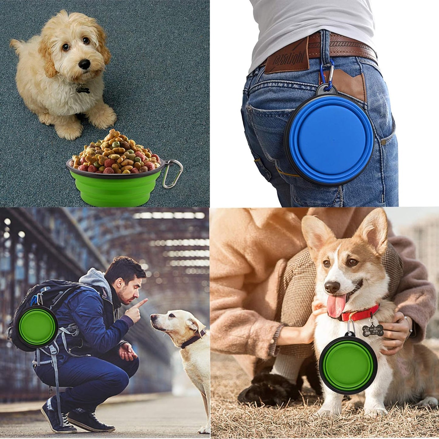Guardians foldable pet feeding bowls with attached metal carabiner clips