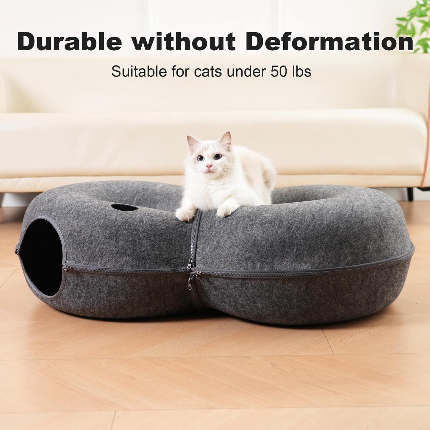 Premium imported cat bed with twelve colorful toy balls placed at the entrance.