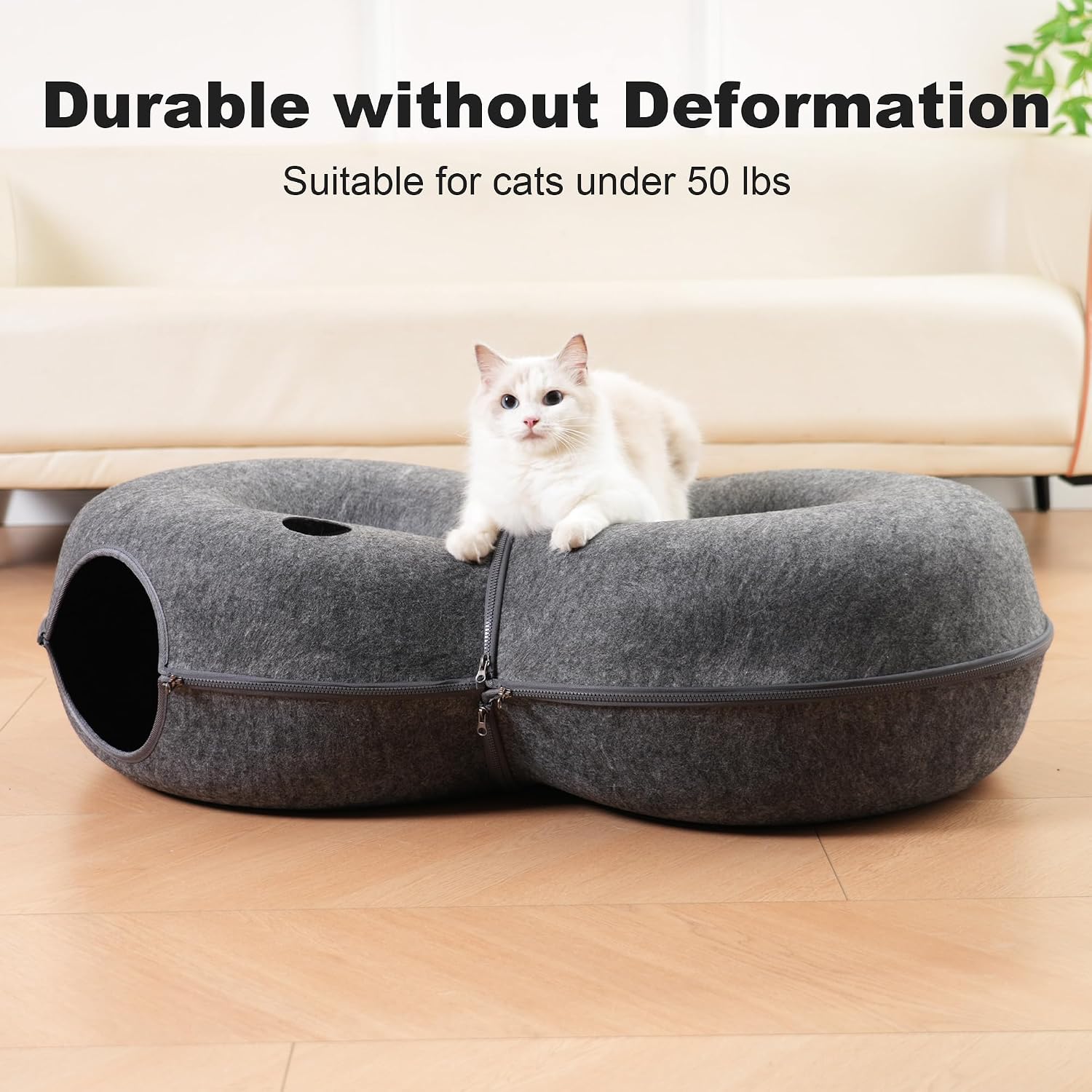 Premium imported cat bed with twelve colorful toy balls placed at the entrance.