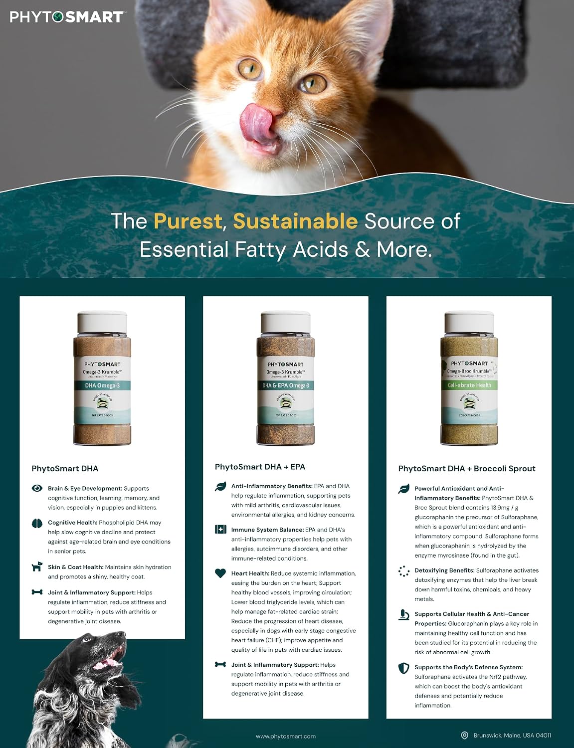 PhytoSmart DHA and EPA pet topper shaker bottle for cat and dog joint health