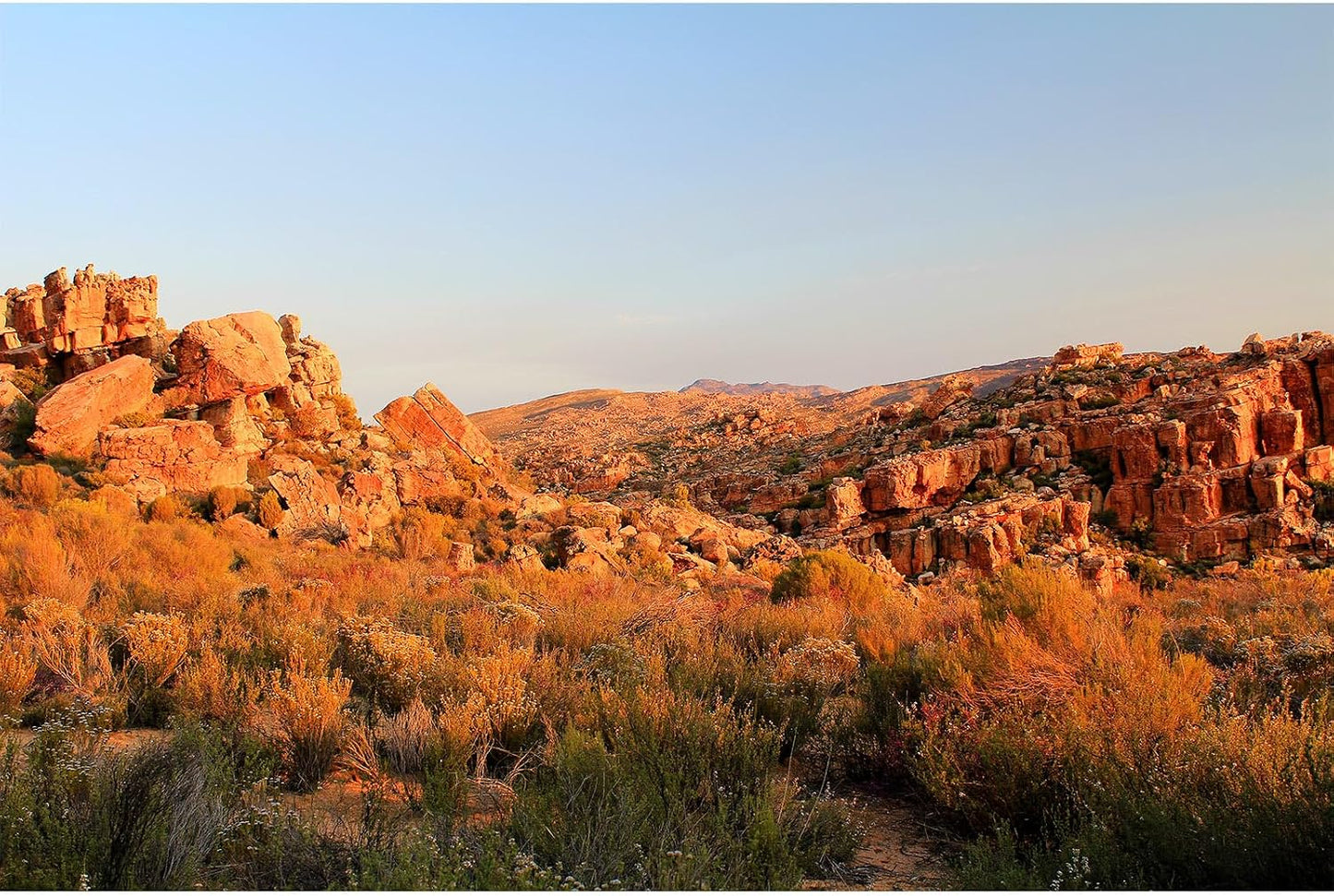 Reptile Habitat Background Sunset Desert Terrarium Background Towering Saguaro Cacti Silhouetted Against Sky Rugged Terrain Vibrant Desert Colors Landscape Tank Backdrop Vinyl 48x18in - Image 9