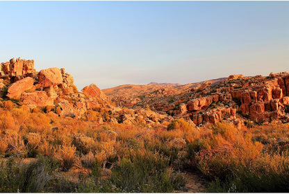 Reptile Habitat Background Sunset Desert Terrarium Background Towering Saguaro Cacti Silhouetted Against Sky Rugged Terrain Vibrant Desert Colors Landscape Tank Backdrop Vinyl 48x18in - Image 9