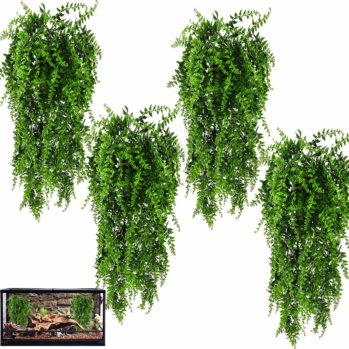 Packaging display of the two-pack Hercocci terrarium vine decorations.