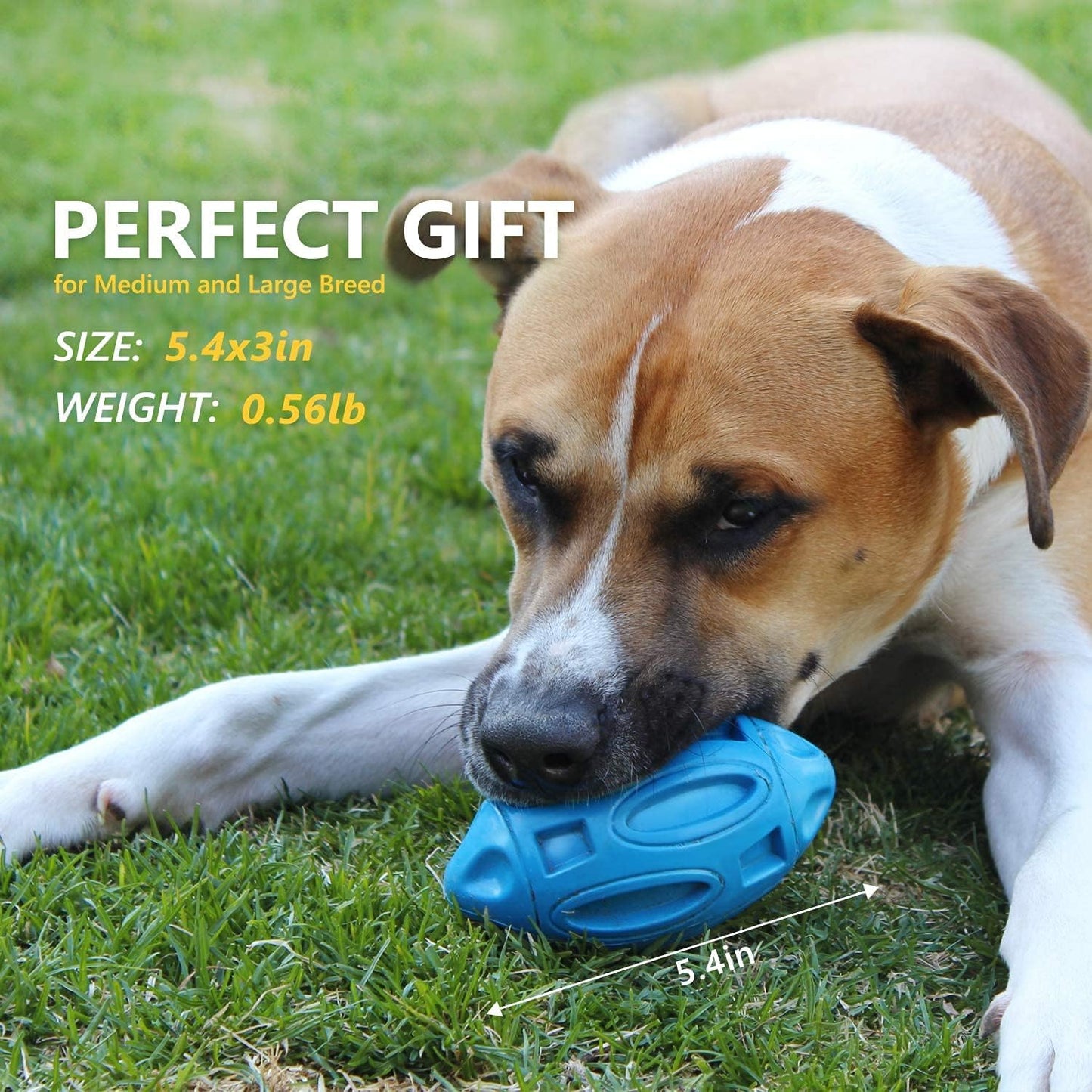 Interactive fetch dog ball with built in squeaker for outdoor play.