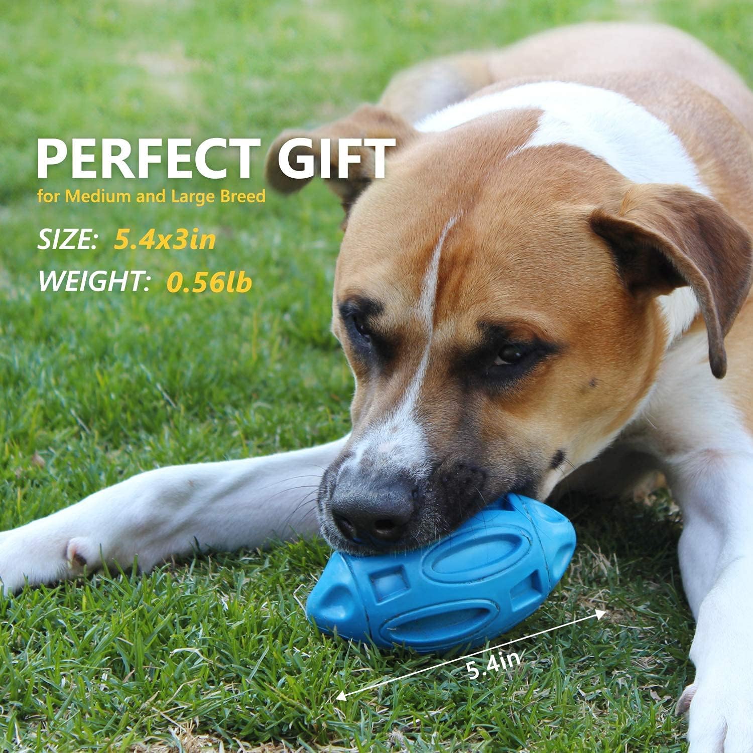 Interactive fetch dog ball with built in squeaker for outdoor play.