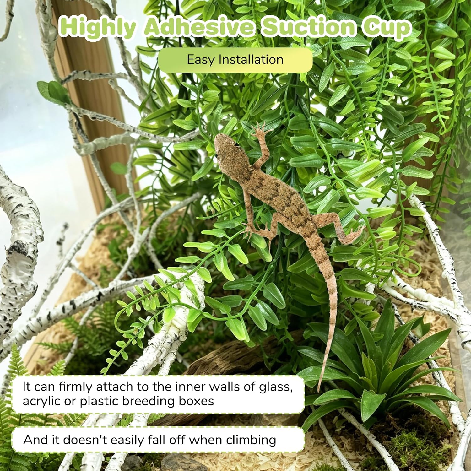 Bearded dragon resting on Pinvnby reptile habitat decor