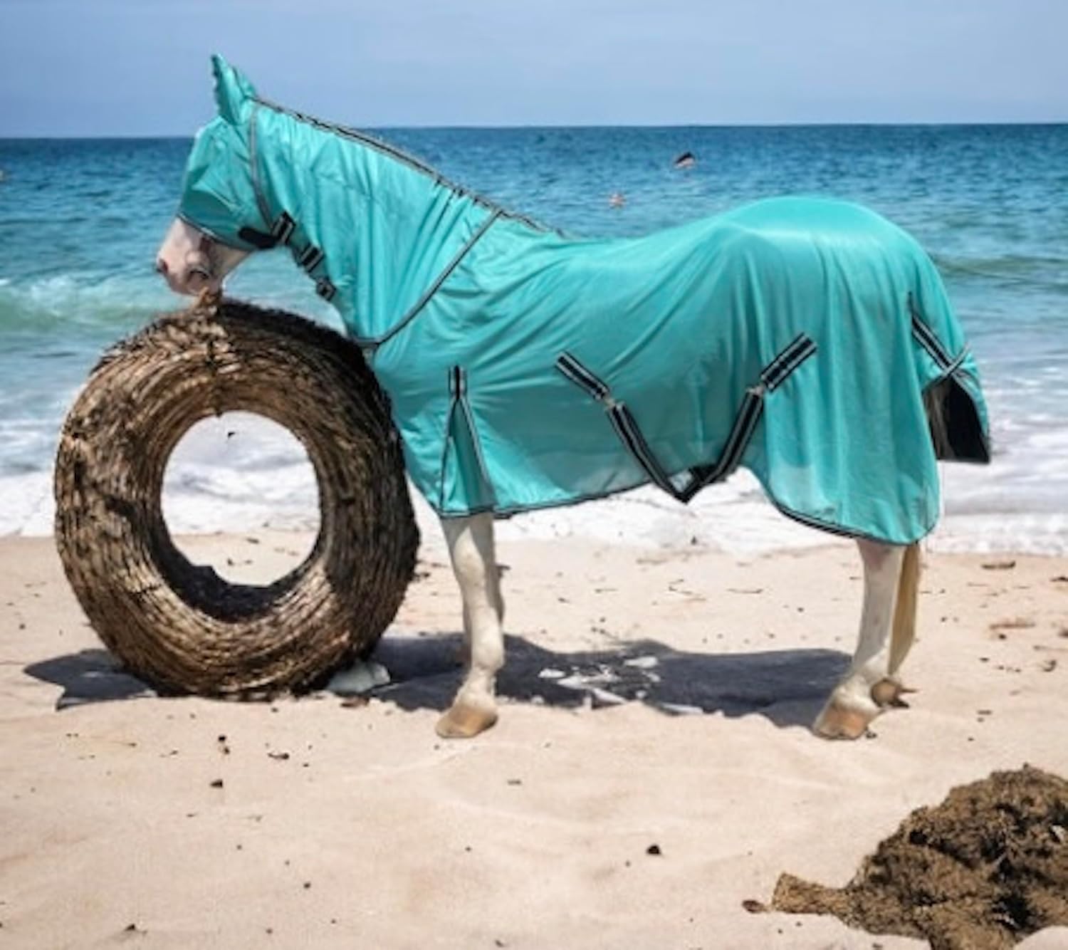 Majestic Ally imported horse protective gear set laid out flat showing all three included pieces