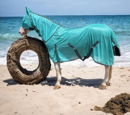 Majestic Ally imported horse protective gear set laid out flat showing all three included pieces
