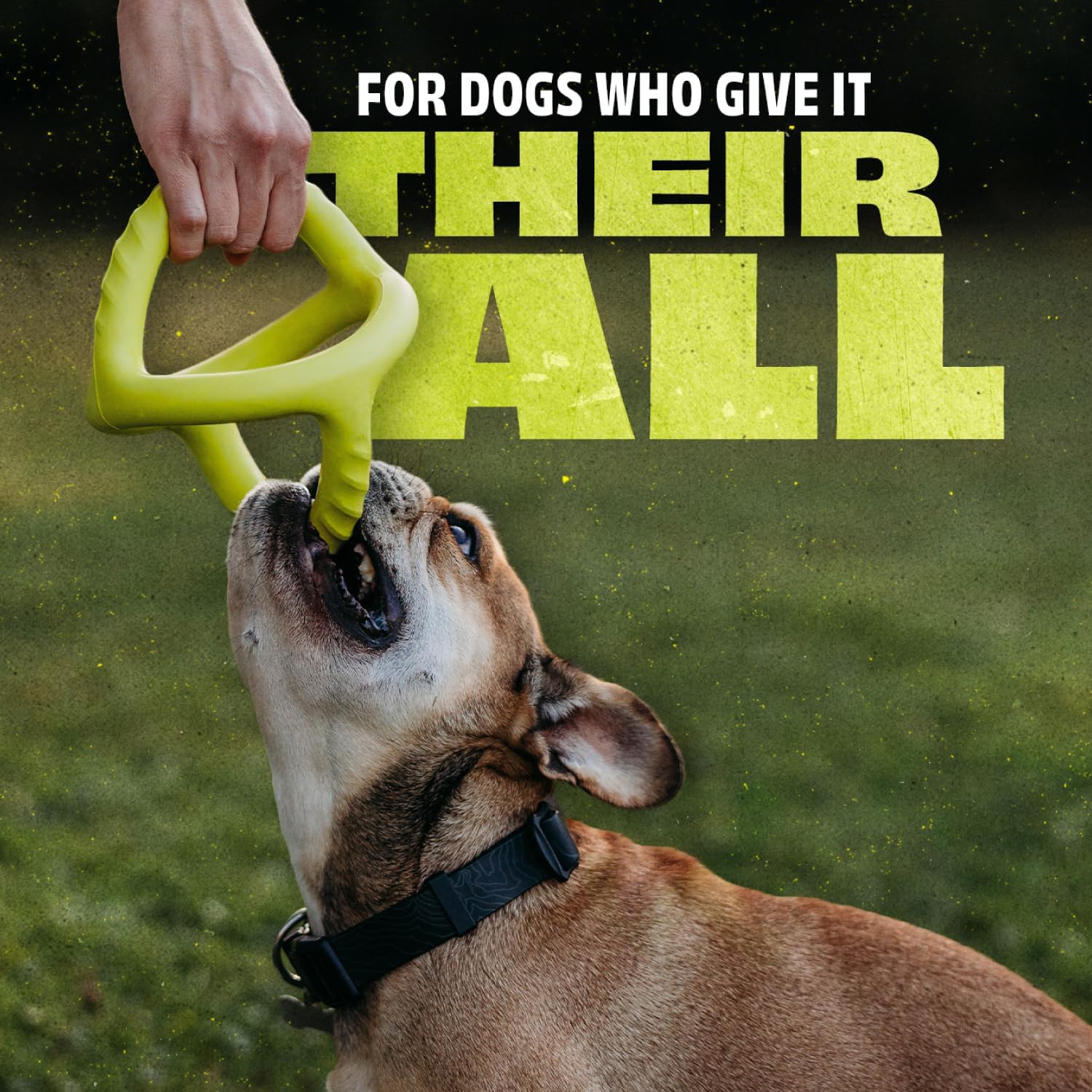 Benebone Natural Rubber Tug Interactive Dog Toy, Natural Rubber - Image 2
