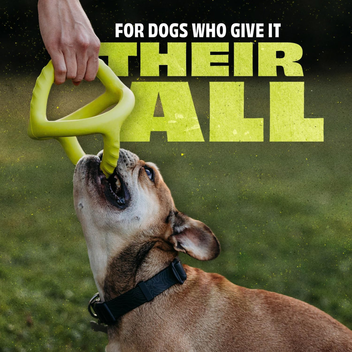 Benebone Natural Rubber Tug Interactive Dog Toy, Natural Rubber - Image 2