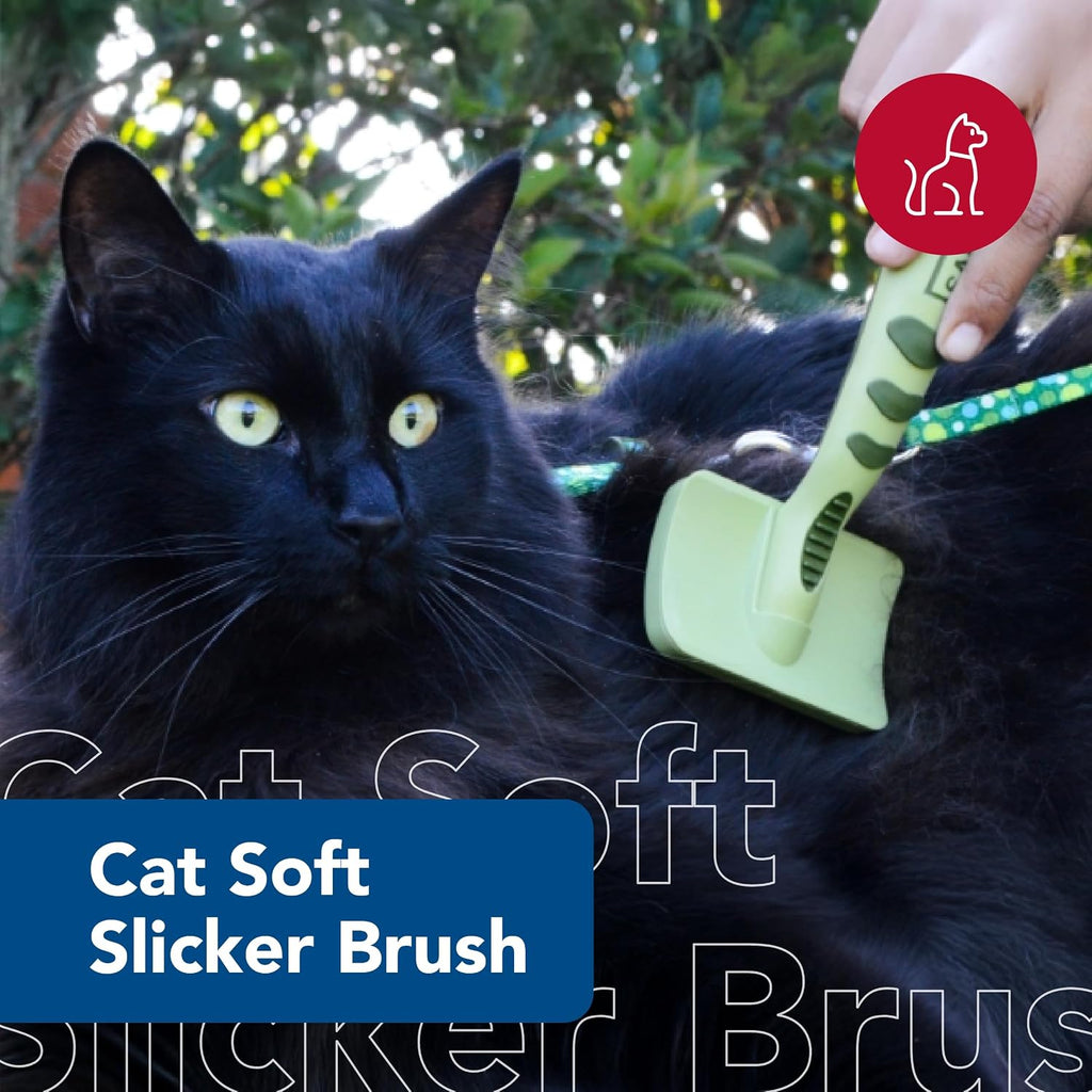 Close up of stainless steel wire pins on Coastal cat slicker grooming brush
