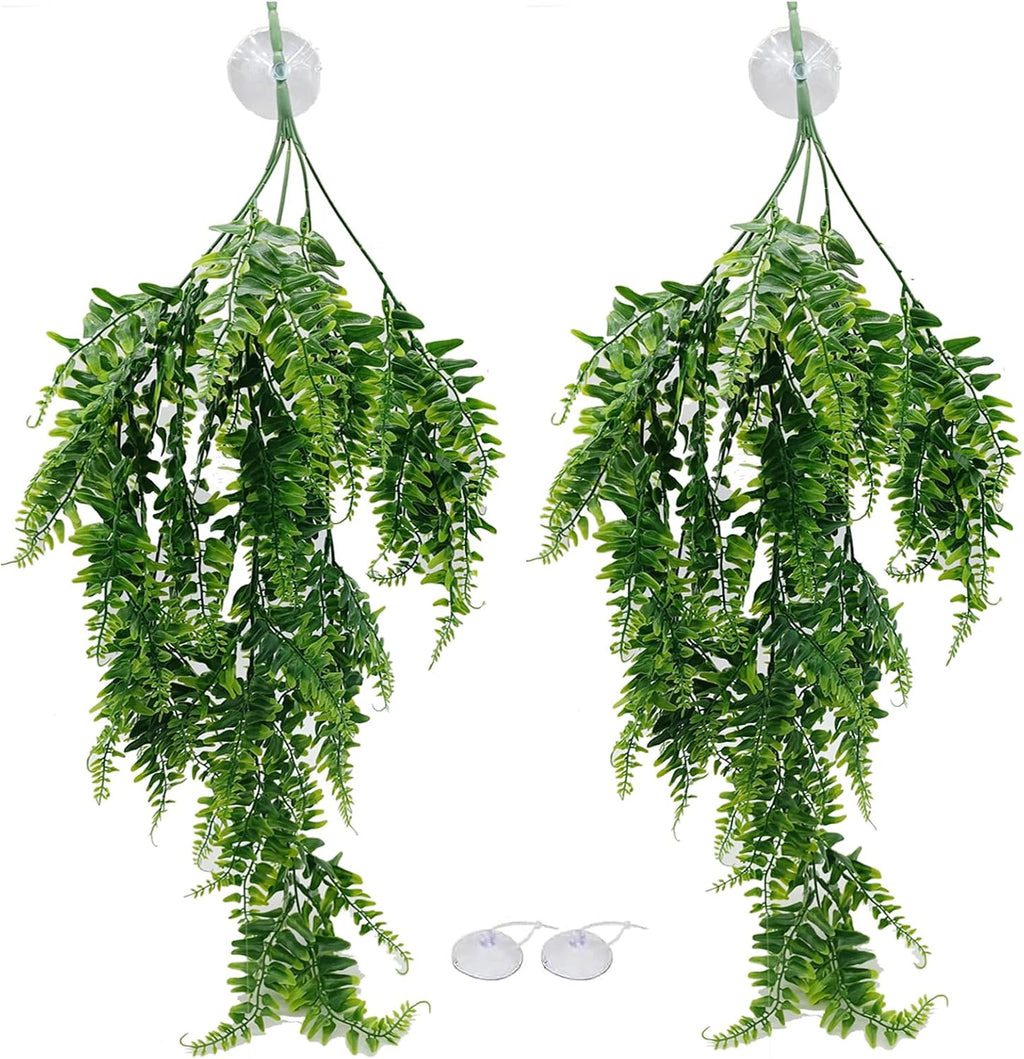 Suction cups included with the MEPHAN reptile accessory set.