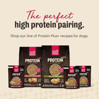 The Honest Kitchen meal topper serving suggestion in a dog bowl