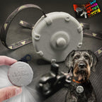Lazy Leash packaging display showcasing the award winning design and heavy duty construction details.