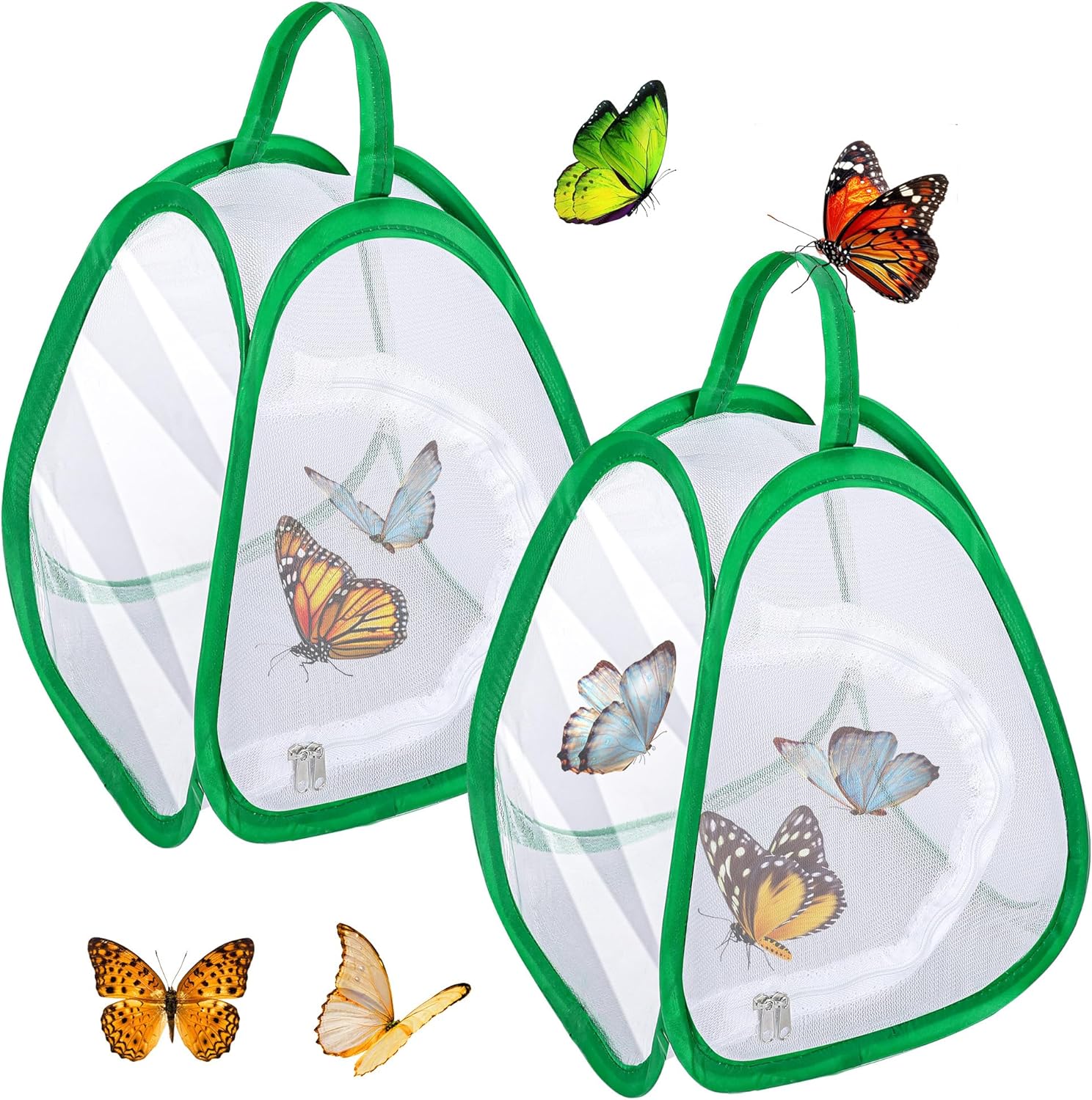 DECOHS mini butterfly habitat cage front view showing transparent observation window.