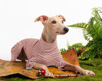Haloumoning black and white striped pet winter jacket neck collar detail