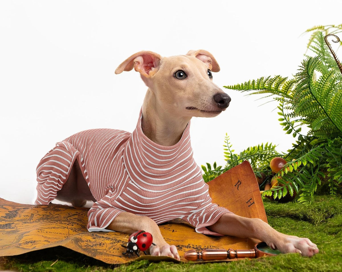Haloumoning black and white striped pet winter jacket neck collar detail