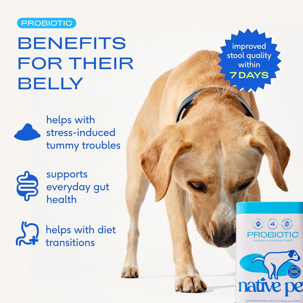 Vet-formulated dog probiotic powder for gut health