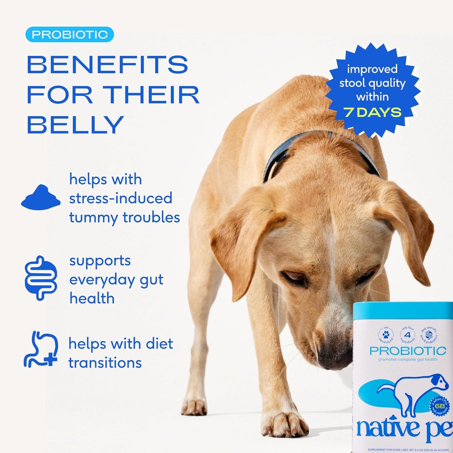 Vet-formulated dog probiotic powder for gut health
