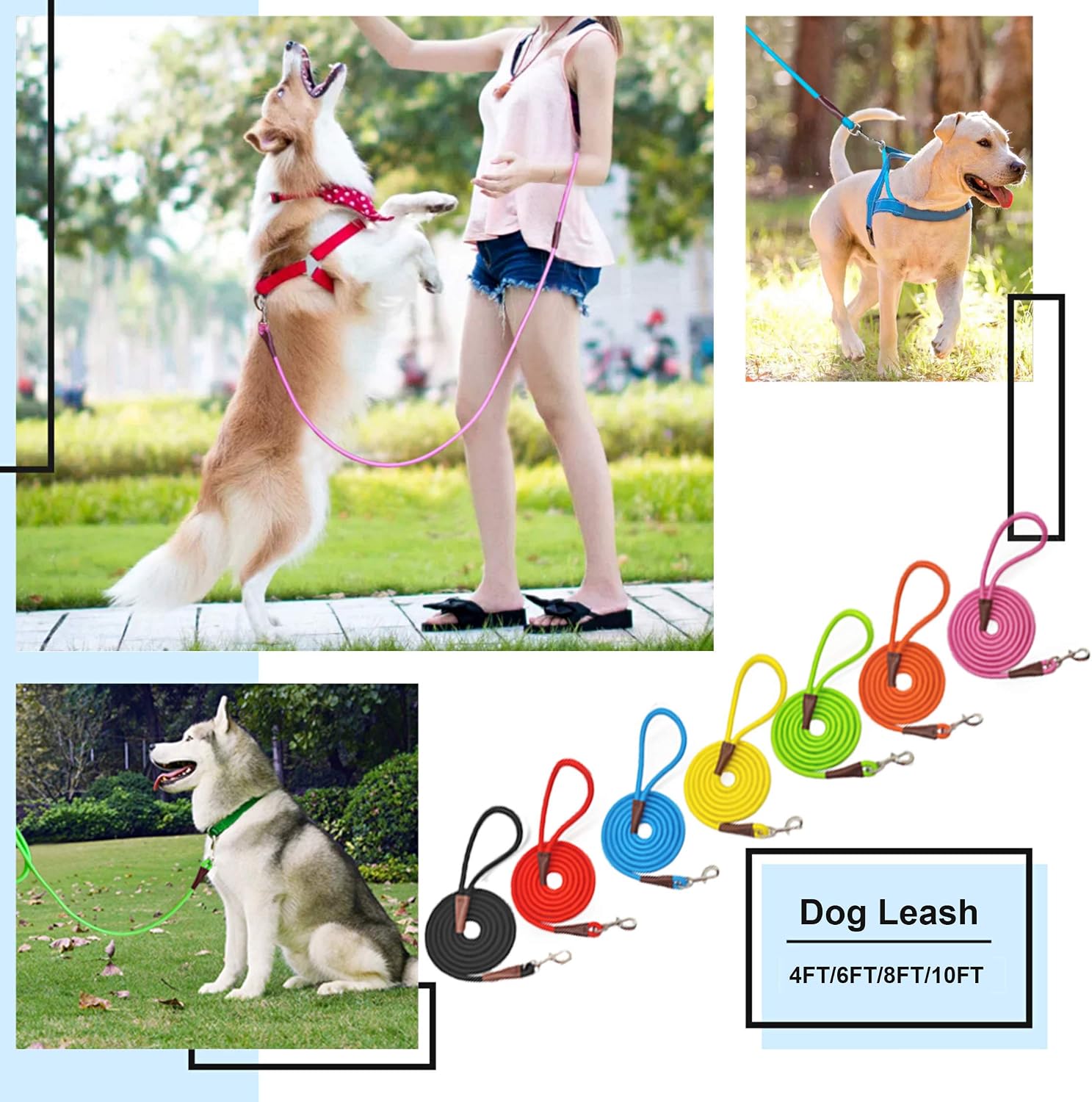 MayPaw classic solid color pet leash packaging view for Indian pet owners