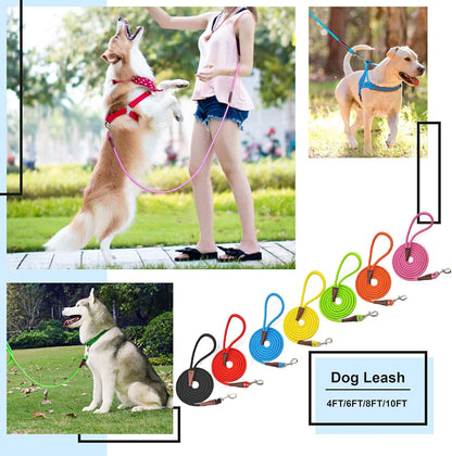 MayPaw classic solid color pet leash packaging view for Indian pet owners