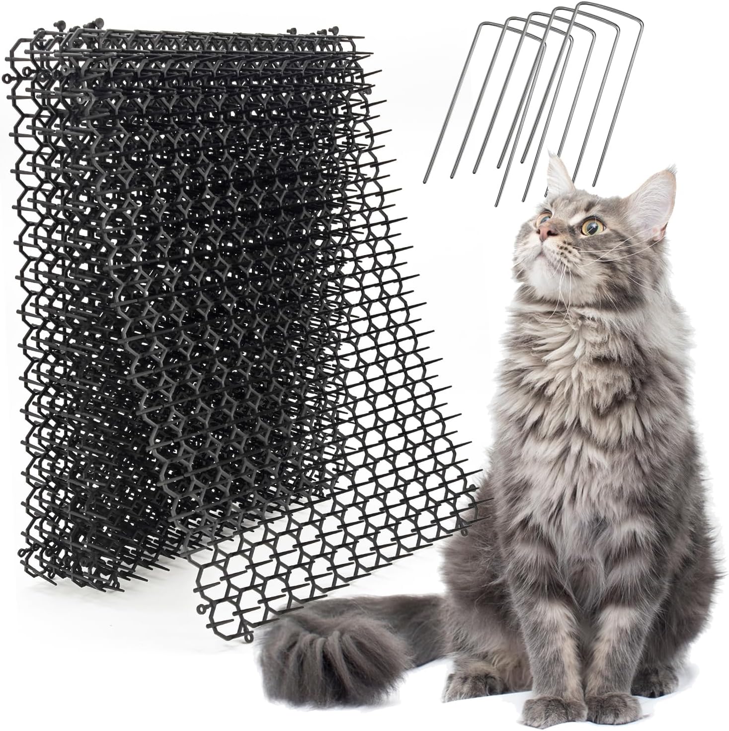 Ley's pet deterrent mat on kitchen counter