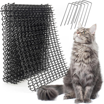 Ley's pet deterrent mat on kitchen counter