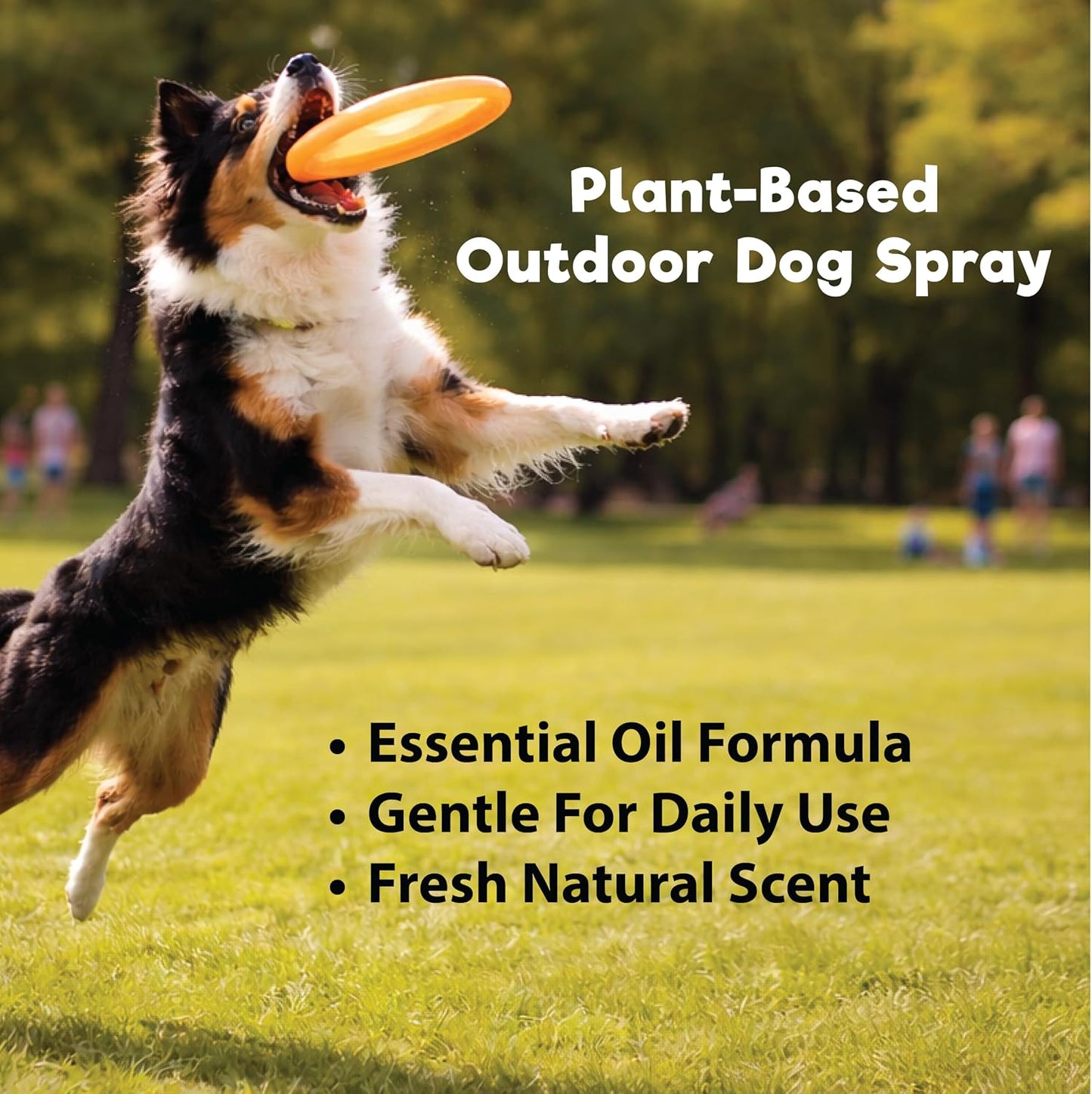 Natural plant-based dog repellent spray bottle