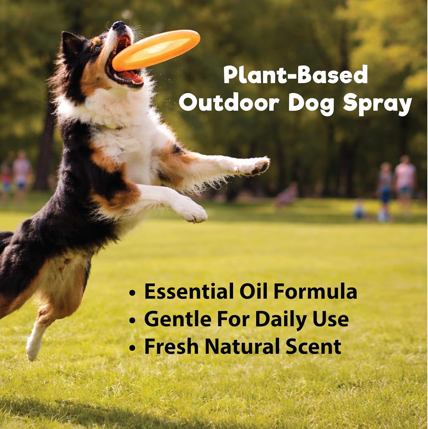 Natural plant-based dog repellent spray bottle
