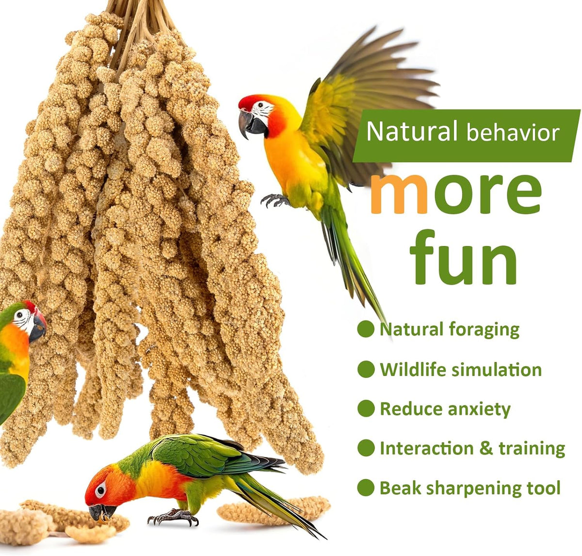 5 pound bulk bag of non-GMO millet spray for pet birds