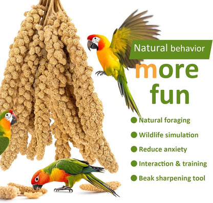Healthy millet treat for cockatiels and lovebirds in a cage
