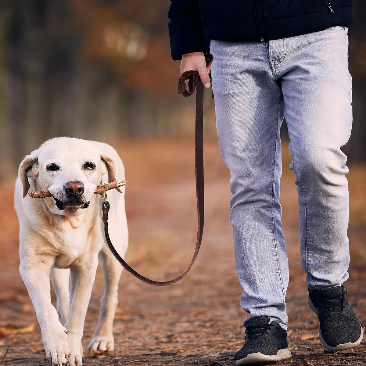 Premium top layer cowhide leather texture of the QUMY pet lead